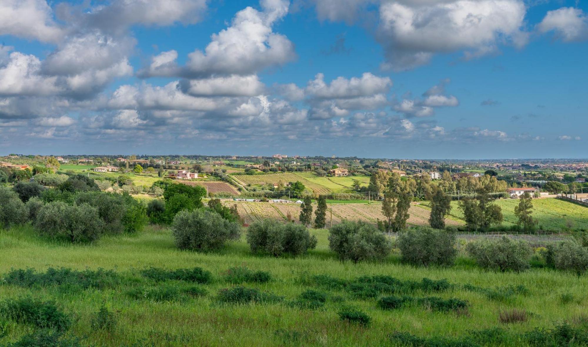 Villa Gli Eucalipti Cerveteri Exteriér fotografie