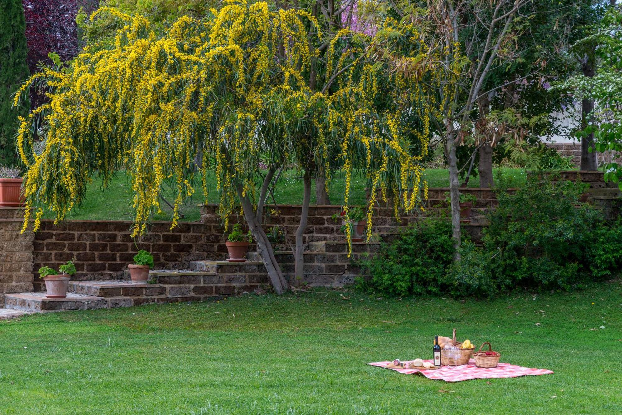 Villa Gli Eucalipti Cerveteri Exteriér fotografie