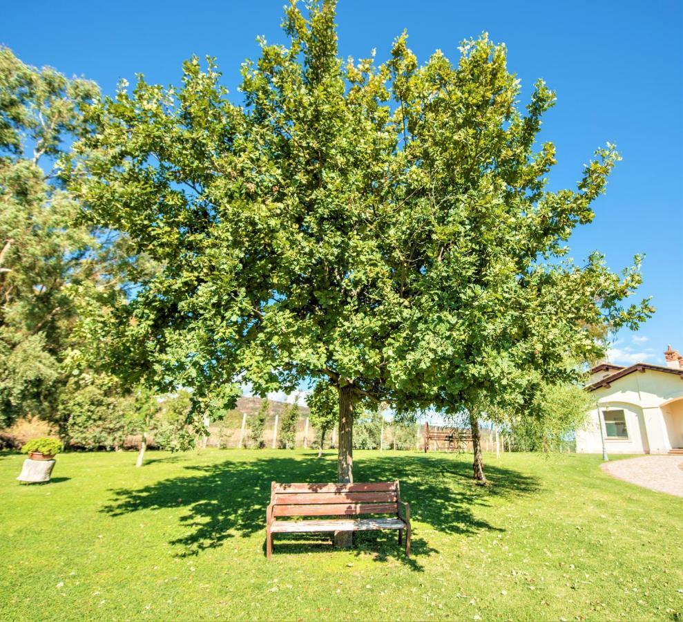 Villa Gli Eucalipti Cerveteri Exteriér fotografie